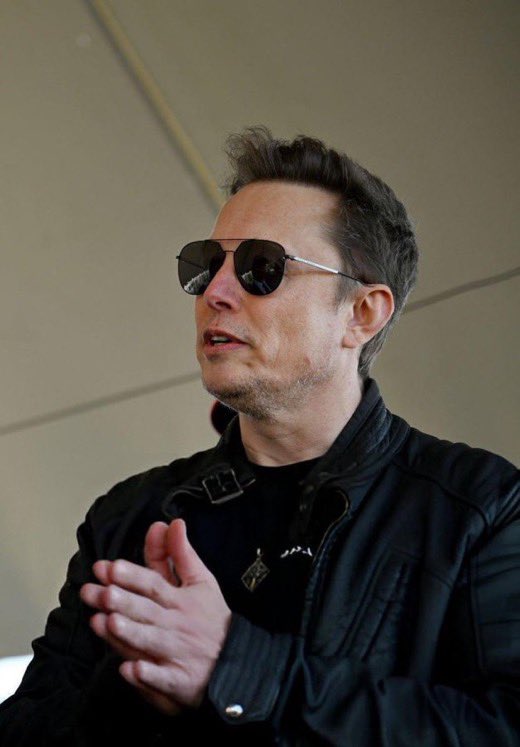 Elon Musk portrait